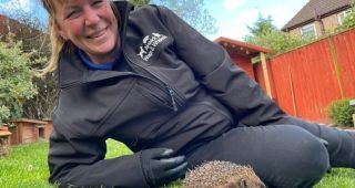 Northumberland Masons Come To The Rescue Of “Ma Sonic” The Hedgehog